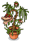 Rare Monster Plant