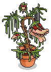 Rare Monster Plant