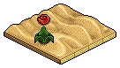 Tropical Beach Rug