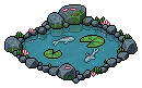 Koi Fish Pond
