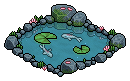 Koi Fish Pond