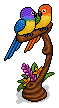 Lovebirds of Paradise