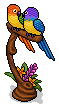 Lovebirds of Paradise