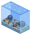 Piranha Tank