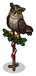 Wise Owl