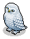 Snowy Owl