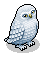 Snowy Owl