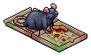Pizza Rat