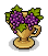 Decadent Grapes