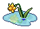 Narcissus Flower