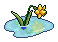 Narcissus Flower