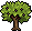 Olive Tree