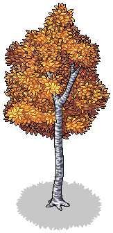 Autumn Aspen