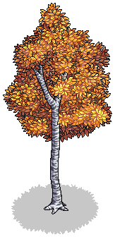Autumn Aspen