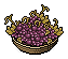 Basket of Grapes