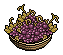 Basket of Grapes