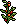 Tomato Plants