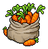 Sack of Carrots