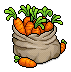 Sack of Carrots