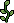 Small Saplings