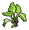 Suspicious Plant (non-crackable)