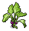 Suspicious Plant (non-crackable)