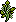 Growing Grape Vines