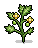 Growing Tomato Plants (non-crackable)