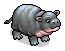 Pygmy Hippo