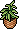 Basket Potted Plant