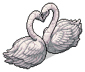 Swan Sculpture Lovelock