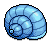 Ocean Conch