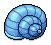 Ocean Conch
