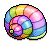Rainbow Conch