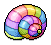 Rainbow Conch