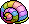 Rainbow Conch