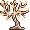 Star Tree