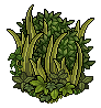 survival_c26_foliage name
