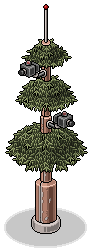 survival_c26_surveillancetree name