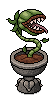 Hungry Monster Plant