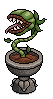 Hungry Monster Plant