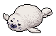 Harp Seal