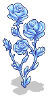 Frozen Rose