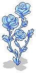 Frozen Rose
