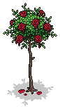 Painted Red Rose Bush