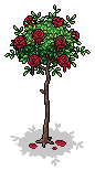 Painted Red Rose Bush