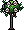 White Rose Bush