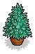 Mini Fir Tree