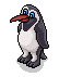 Kimimanu Penguin