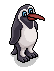 Kimimanu Penguin